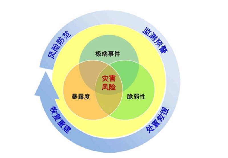 在线投保成为越来越多用户的选择，但面对众多的线上投保平台，如何做出合适的选择？让我们一起看看这些平台的优势与劣势。